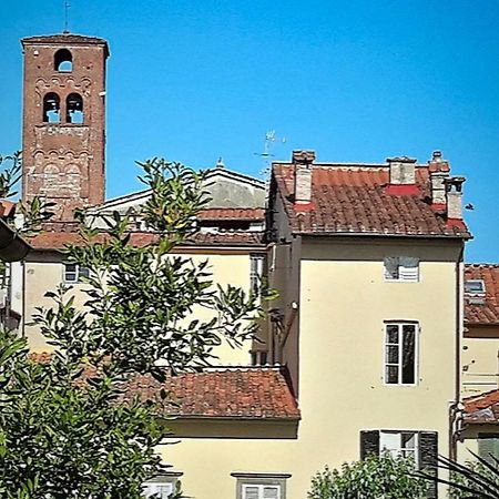 La Butterfly Guest Apartment Lucca Bagian luar foto